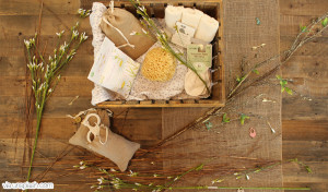 Top Vegan Bath Products, Best Organic Shampoo & Top Eco-Friendly Body Wash | (pg.1)