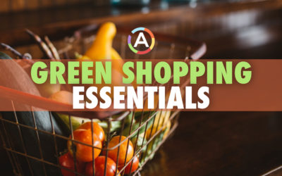 Everyday Eco-Friendly, Reusable Shopping Essentials