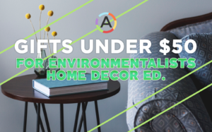 10 Best Gifts for Environmentalists Under 50 Home Decor Edition