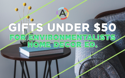 10 Best Gifts for Environmentalists Under $50 (Home Decor Edition)