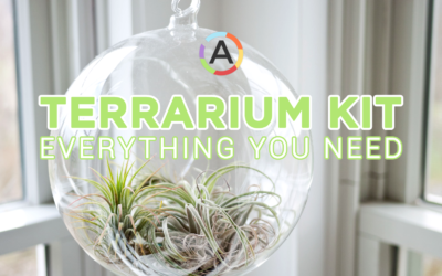 Everything You Need To Make Your Own Terrarium