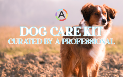 Natural & Eco-Friendly Dog Care Kit (Curated by a Registered Veterinary Technician)