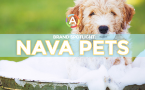 best all natural dry shampoo for dogs