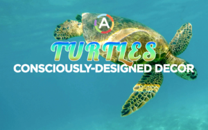 turtle decor kit sustainable wood handmade kit 1 header v1