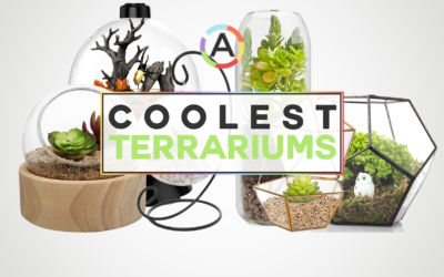 50 Best, Coolest Terrariums: Best of Collection | Coolest Terrariums Ed.