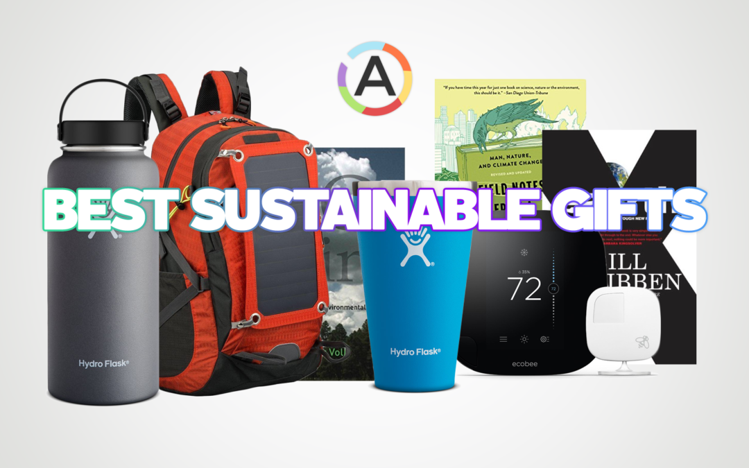 30 Best, Top Reviewed Sustainable Gifts & Gift Ideas + Gifts to Stop Climate Change