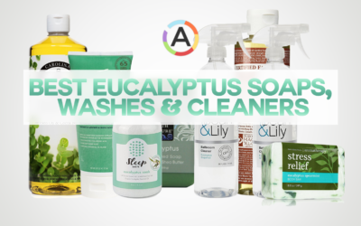 50 Best Eucalyptus Soaps, Washes & Cleaners (All Natural) | Best of Collection Ed.