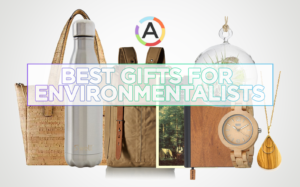 50 Best Gifts for Environmentalists, Environmental Lovers & The Environmentally Conscious