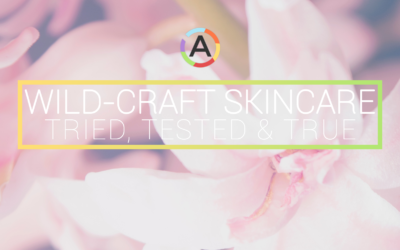 Tried, Tested & True: 5 Conscious Beauty & Skincare Brands + Products